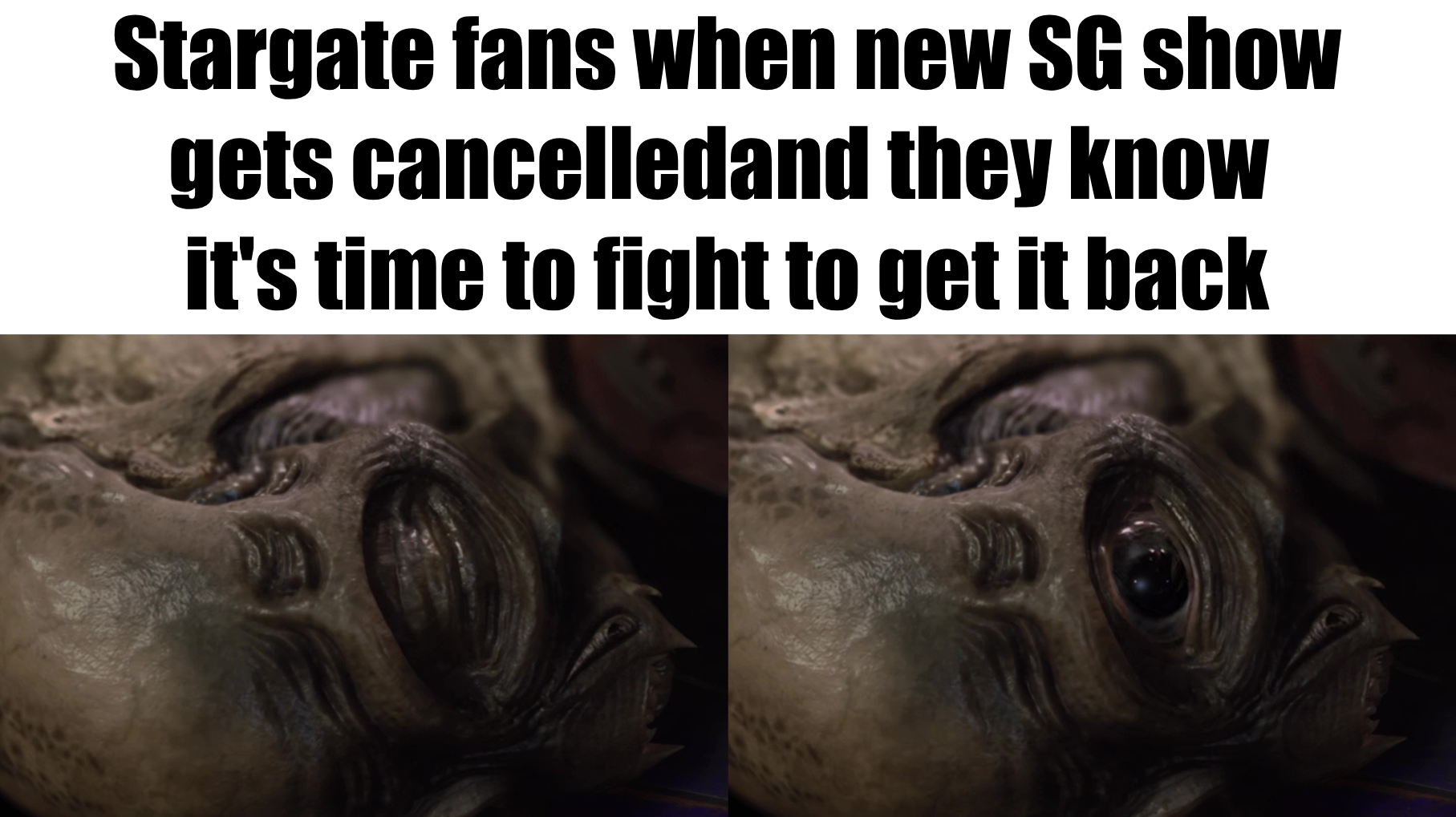 Time to fight for Martin Gero's Stargate